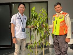 BRI Kanca Bandara Soekarno-Hatta Bersama Angkasa Pura, Tingkatkan Kualitas Lingkungan Bandara Melalui Program Penghijauan
