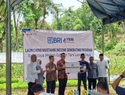BRI BO Rangkasbitung dan YBM BRILiaN Luncurkan Program Pemberdayaan Mustahik melalui Budidaya Melon Golden