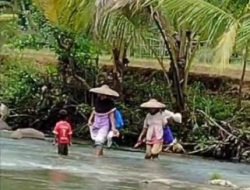 Tanpa Jembatan Penghubung, Warga dan Siswa Desa Muncang Terpaksa Seberangi Sungai untuk Berangkat Sekolah