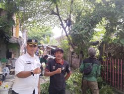 Respons Cepat Kelurahan Angke: Penopingan Pohon Antisipasi Bahaya Listrik