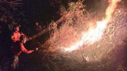 TNI-Polri dan BPBD Padamkan Kebakaran Hutan 3,5 Hektare di Trenggalek