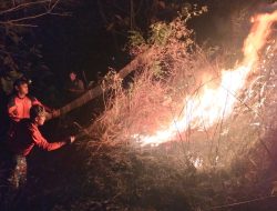 TNI-Polri dan BPBD Padamkan Kebakaran Hutan 3,5 Hektare di Trenggalek
