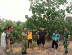 Demplot Satgas Karhutla TNI, Uji Alternatif Pupuk Organik Ladang di Kayan Hilir