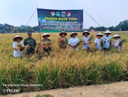 Kodim 0505/JT Kolaborasi Dengan Pemprov DKI, Panen Padi Inpari 32 di Ujung Menteng