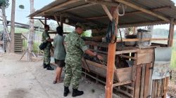 Jaga Lingkungan Tetap Asri, Babinsa Ingatkan Peternak Kambing Antisipasi Bau Kandang