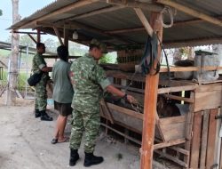 Jaga Lingkungan Tetap Asri, Babinsa Ingatkan Peternak Kambing Antisipasi Bau Kandang
