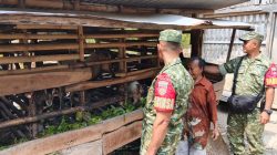 Jangan Sampai Kotoran Kambing Picu Keluhan Tetangga, Babinsa Ngrombo Turun Ingatkan Peternak